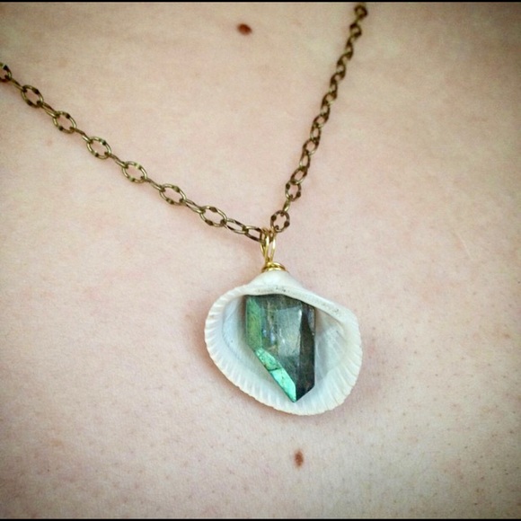 Jewelry - Sea Shell Necklace